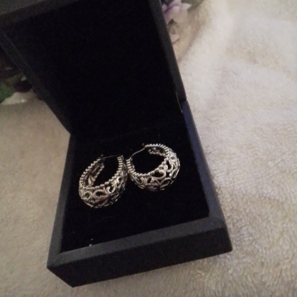 Elegant Silver Hoop Earrings